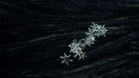 Real snowflake on blue background. Christmas winter snowflakes background. Snowflake Closeup. Macro...