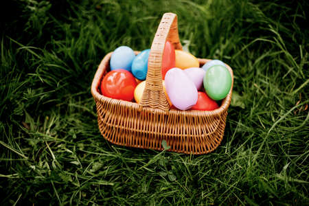 Colorful easter eggs in basket on green grass outdoor. Easter background concept. egg hunt.