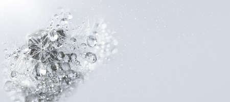 Beautiful dew drops on dandelion seed macro. soft background. Water drops on parachutes dandelion. Copy space. soft focus on water droplets. circular shape,の写真素材