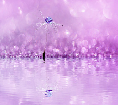dandelion at pink background. Freedom to Wish. Seed macro closeup. Goodbye Summer. Hope and dreaming...