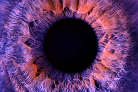 Macro photo of colores purple human eye texture background. extrime bule eye macro shot. Toned eye...