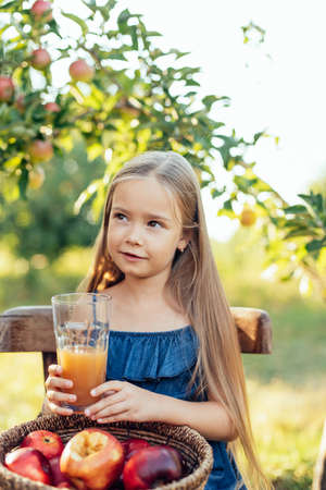 Child picking apples on farm in autumn. Healthy nutrition. Cute little girl eating red delicious fruit and driks apple juice. Harvest Concept.の写真素材