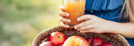 Child picking apples on farm in autumn. Healthy nutrition. Cute little girl eating red delicious fruit and driks apple juice. Harvest Concept.の写真素材