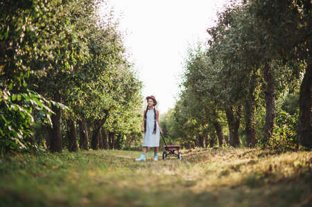 Girl with Apple in the Apple Orchard. Beautiful Girl Eating Organic Apple in the Orchard. Harvest Concept. Garden, Toddler eating fruits at fall harvest.の写真素材