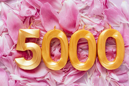 5000 followers card. Template for social networks, blogs. Background with pink flower petals. Social...