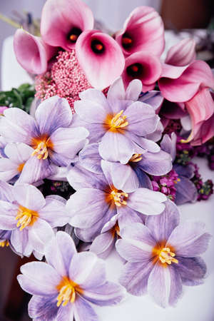 pink violet Autumn Colorful fall bouquet. Beautiful flower composition with tulip. Flower shop and...