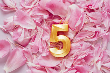 Number five 5 golden celebration birthday candle on pink flower petals Background. Five years birthday. concept of celebrating birthday, anniversary, important date, holidayの写真素材