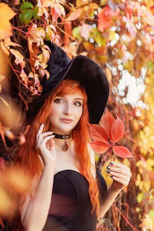 Halloween Beautiful young Witch girl in witches hat on spooky dark magic forest background. Portrait of model girl with autumn bright leaves, Fall look style. redhead girl with big eyes magical sightの写真素材