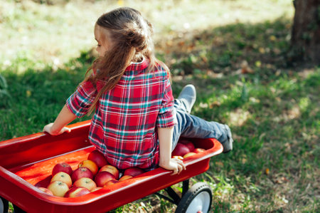 Girl with Apple in the Apple Orchard. Beautiful Girl Eating Organic Apple in the Orchard. Harvest...
