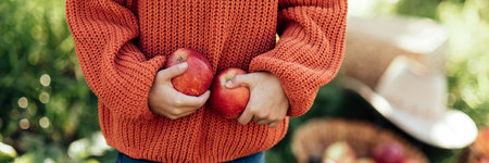 Child picking apples on farm in autumn. Little girl playing in tree orchard. Healthy nutrition. Cute little girl eating red delicious fruit. Harvest Concept. Apple picking.の写真素材