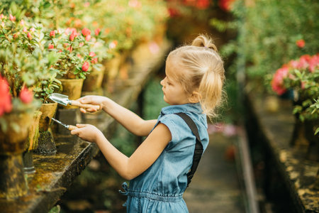 Child planting spring flowers. Little girl gardener plants azalea. Girl holding azalea bush in flower pot. Child taking care of plants. Gardening tools. Copy spaceの写真素材