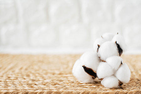 perfect backdrop for other elements. Cotton flowers on jute rug. image could be used to promote healthy lifestyle or spa treatments. side view copy spaceの写真素材
