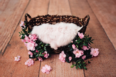 Newborn Digital Background Spring flowers Basket Prop for Newborn. For boys and girls. Wood back. shoot set up with prop bed and wood backdropの写真素材