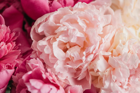 Pastel peony flowers in bloom floral spring art festive background, wedding decor and luxury branding design. pastel and soft floral card. pretty and romantic flowers in floral shop.の写真素材