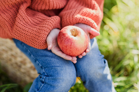 Child picking apples on farm in autumn. Little girl playing in tree orchard. Healthy nutrition. Cute little girl eating red delicious fruit. Harvest Concept. Apple picking.の写真素材