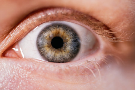Macro photo of human eye looking. close-up detail of green eye. Health concept in visual center. good vision and problems with eyesの写真素材