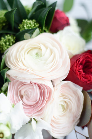 Mother Day greeting card. delicate bouquet featuring white, pink, and red ranunculus flowers creating romantic floral arrangement. Flowers gift for Women Day. Valentines Day. March 8th. spring bannerの写真素材