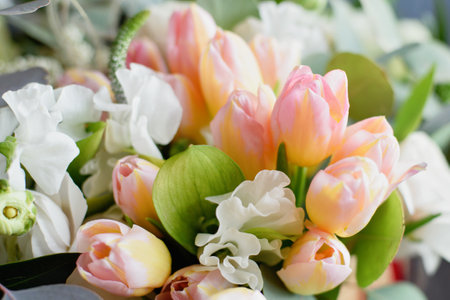 Beautiful holiday card. Mother Day greeting card. Delicate bouquet of white ranunculus and pastel tulips with soft green leaves, creating a romantic and elegant floral sceneの写真素材