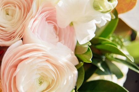 Beautiful holiday card. Mother Day greeting card. Delicate bouquet of white ranunculus and pastel tulips with soft green leaves, creating a romantic and elegant floral sceneの写真素材