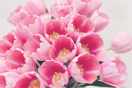 Mothers day, Valentines Day, Birthday celebration concept. Greeting card. Beautiful Bouquet of pink delicate tulips. Copy space for text, top view. Spring background. March 8, International Womens Dayの写真素材