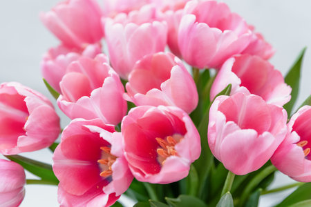 Mothers day, Valentines Day, Birthday celebration concept. Greeting card. Beautiful Bouquet of pink delicate tulips. Copy space for text, top view. Spring background. March 8, International Womens Dayの写真素材