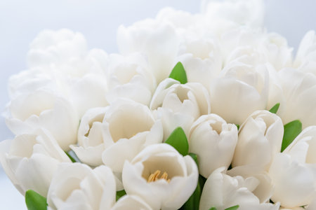 Mothers day, Valentines Day, Birthday celebration concept. Greeting card. Beautiful Bouquet of white delicate tulips. Copy space. Spring background. March 8, International Womens Dayの写真素材