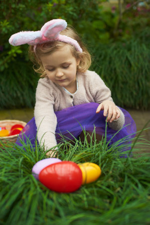 Easter Egg Hunt with Toddler. girl wearing bunny ears picks colorful Easter eggs hidden in the grass...