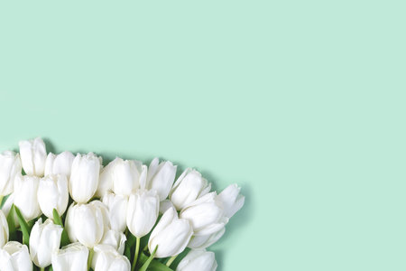 Mothers day, Valentines Day, Birthday celebration concept. Greeting card. Beautiful Bouquet of white delicate tulips. Copy space. Spring background. March 8, International Womens Dayの写真素材