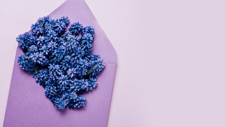 Greeting Card Background with Muscari Flowers. Flat lay of vibrant blue muscari flowers arranged in...