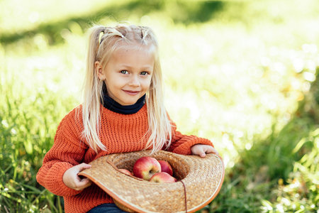 Child picking apples on farm in autumn. Little girl playing in tree orchard. Healthy nutrition. Cute little girl eating red delicious fruit. Harvest Concept. Apple picking.の写真素材