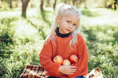 Child picking apples on farm in autumn. Little girl playing in tree orchard. Healthy nutrition. Cute little girl eating red delicious fruit. Harvest Concept. Apple picking.の写真素材