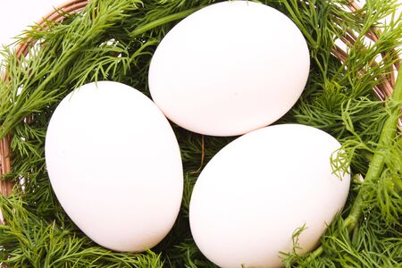 eggs in nest isolated on whiteの写真素材