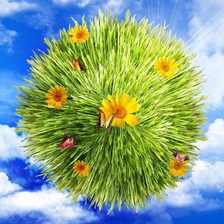 Grass, flower and butterfly on clouds backgroundの写真素材