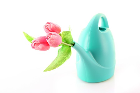 Bailer with flower isolated on whiteの写真素材