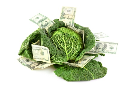 Savvoy cabbage with dollar banknotes isolated on whiteの写真素材