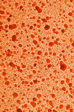 Cleaning sponge surface closeupの写真素材