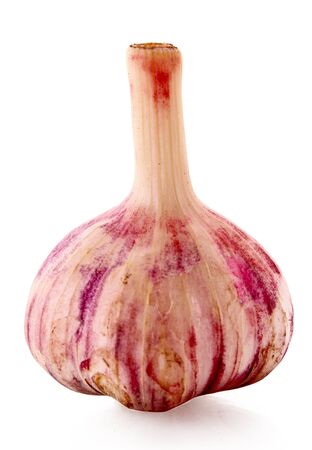Garlic isolated on whiteの写真素材