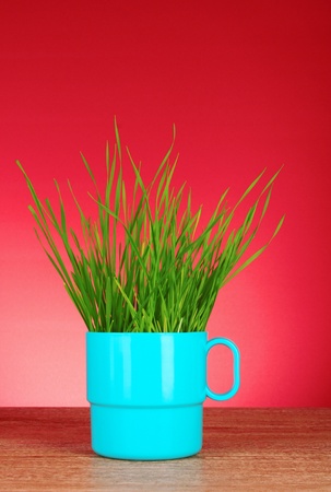 Cup with grass on red backgroundの写真素材