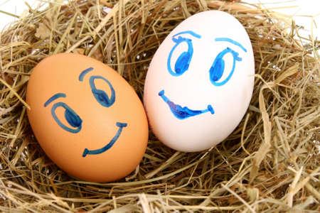 Couple of hen's eggs with faces in the grassy nestの写真素材