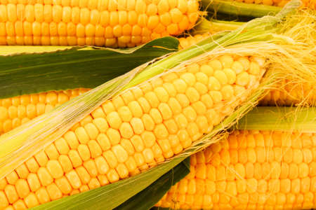 Few yellow corn