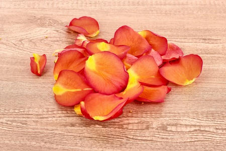 Rose petals on wooden backgroundの写真素材