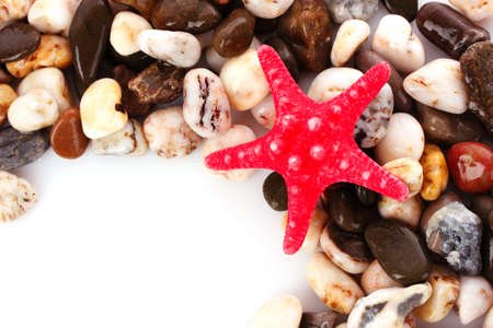 Red seastar on pebble backgroundの写真素材