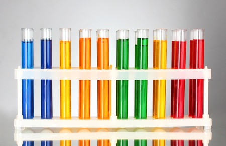 test tubes in the laboratory on a gray backgroundの写真素材