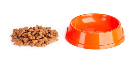 dog food isolated on whiteの写真素材