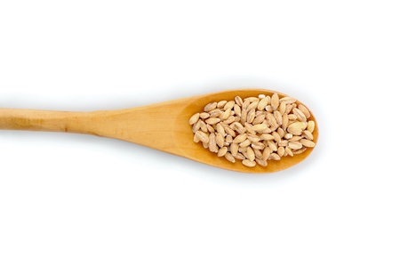 wheat and spoon isolated on whiteの写真素材