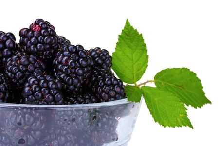 beautiful blackberries in glass isolated on white