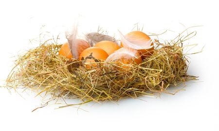 chicken eggs in a nest isolated on whiteの写真素材