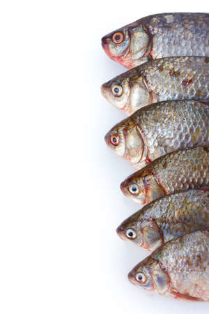 Fresh fishes isolated on white