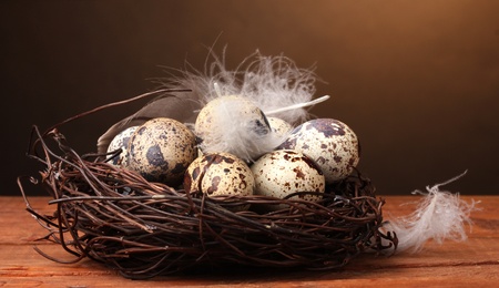 quail eggs in nest on wooden table on brown backgroundの写真素材