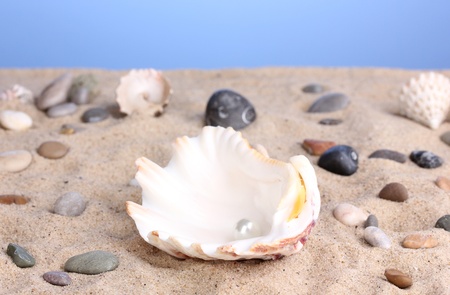 Sea shell with pearl on sandの写真素材